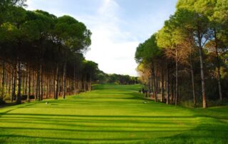 Sueno-Pines-2